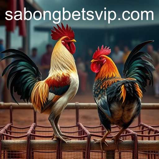 Evolving Trends in Online Gaming: The Rise of SabongBets